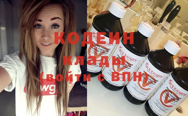 мдпв Осташков