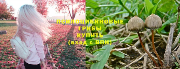 эйфоретик Остров