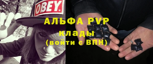 мдпв Осташков