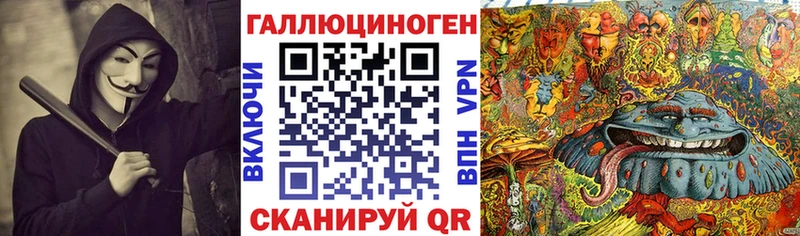Псилоцибиновые грибы Psilocybe  Ступино 