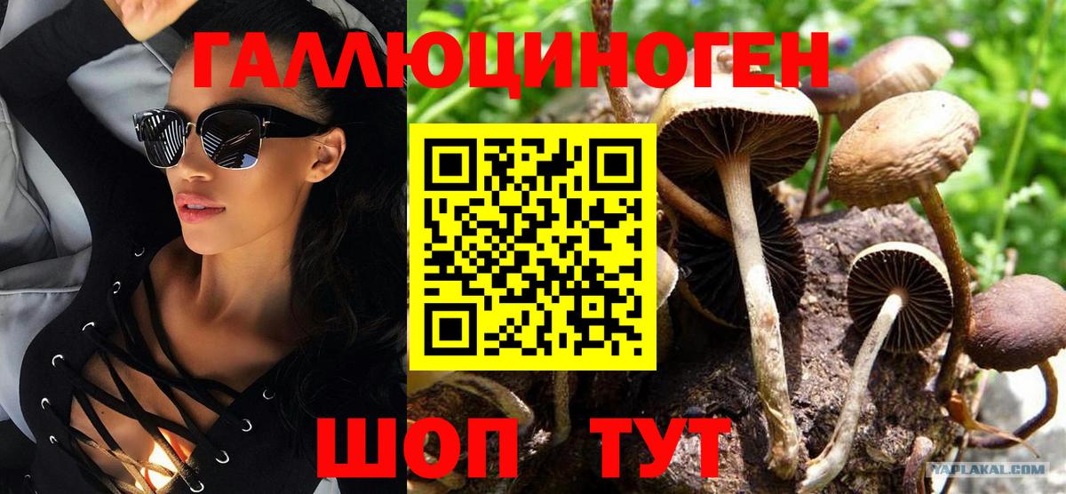 Ступино  Псилоцибиновые грибы Psilocybine cubensis  Вход с VPN 